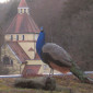 Christuskirche Bad Brückenau