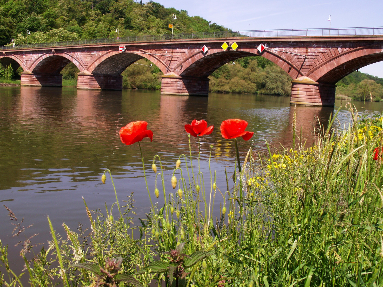 Marktheidenfeld Jugendreferentin Daniela Hoffmann verabschiedet Ev